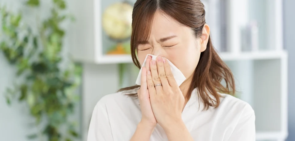 Image of an asian woman blowing her nose Image of an Asian woman blowing her nose into a handkerchief